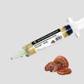Red Reishi Mushroom Lingzhi Liquid Culture Syringe – 20cc | Ganoderma lucidum Mycelium (C0102)