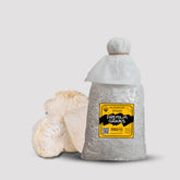 Lion's Mane Pride Mushroom Grain Spawn 1.5kg (116)