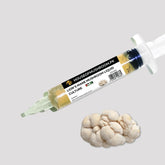 Lion's Brain Mushroom Liquid Culture – 20cc Syringe | Premium Mycelium (C0115)