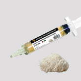 Lion's Mane Mushroom Liquid Culture – 20cc Syringe | Holland Strain Mycelium (C0118)