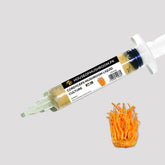 Cordyceps Militaris Mushroom American Liquid Culture – 20cc Syringe | Premium Mycelium (C0130)