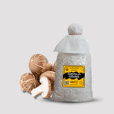Shiitake Verstile Mushroom Grain Spawn 1.5kg (951)