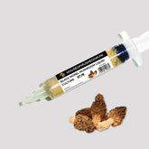 Black Morel Mushroom Liquid Culture – 20cc Syringe | Morchella elata Strain (C0190)