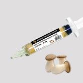 King Oyster Mushroom Liquid Culture – 20cc Syringe | Pleurotus Eryngii Mycelium (C0220)