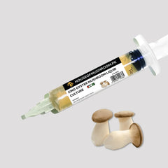King Oyster Mushroom Liquid Culture – 20cc Syringe | Pleurotus Eryngii Mycelium (C0220)