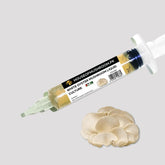 White Oyster Mushroom Liquid Culture Syringe – 20cc | Pleurotus ostreatus Mycelium (C0410)