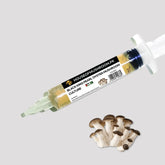 Elegant Black King Pearl Oyster Mushroom Liquid Culture – 20cc Syringe | Pleurotus ostreatus Mycelium (C0417)