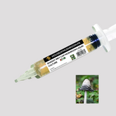 Shaggy Inky Cap Mushroom Liquid Culture – 20cc Syringe | Coprinus Comatus Mycelium (C0470)