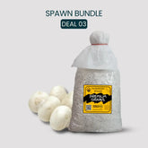 Bulk White Button Mushroom Spawn