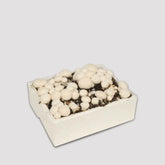 White Button Mushroom Grow Kit 5kg