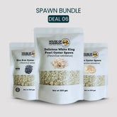 Mini Oyster Mushroom Spawn Bags – Special Bundle 600g | Easy Grow Kit