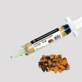 Chaga Mushroom Liquid Culture – 20cc Syringe | Premium Mycelium (C0800)