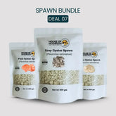 Mini Oyster Mushroom Spawn Bags – Tropical Bundle 600g | Easy Home Growing