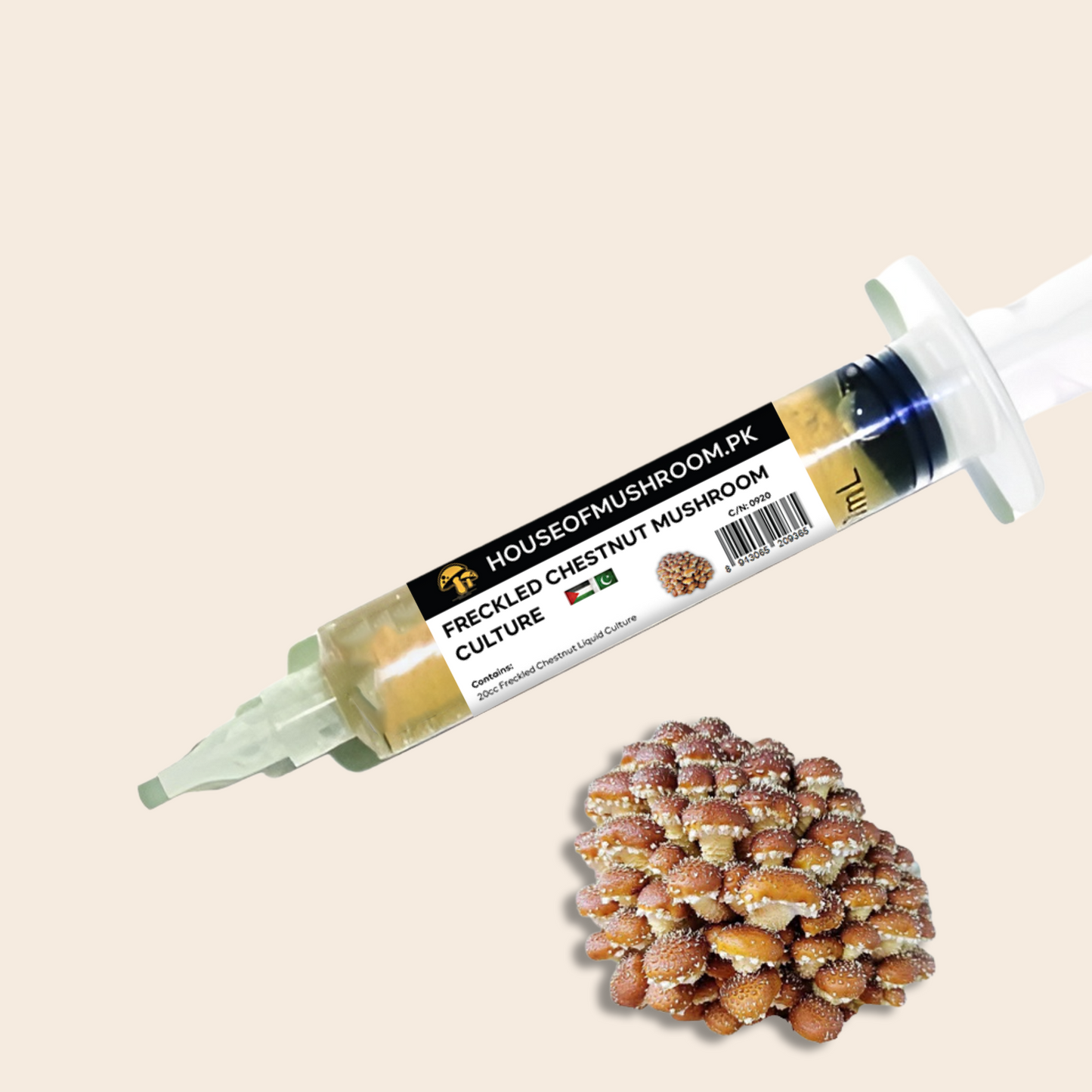 Freckled Chestnut Mushroom Liquid Culture Syringe 20cc (C0920)