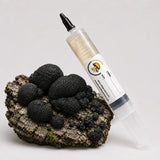 Black Fungus Mushroom Liquid Culture – 20cc Syringe | Annulohypoxylon Archeri Strain (185)