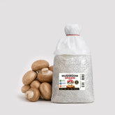 Brown Button Crimini Mushroom Grain Spawn 1.5kg (510)