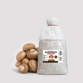 Brown Button Crimini Mushroom Grain Spawn 1.5kg (510)