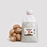 Brown Button Crimini Mushroom Grain Spawn 1.5kg (510)