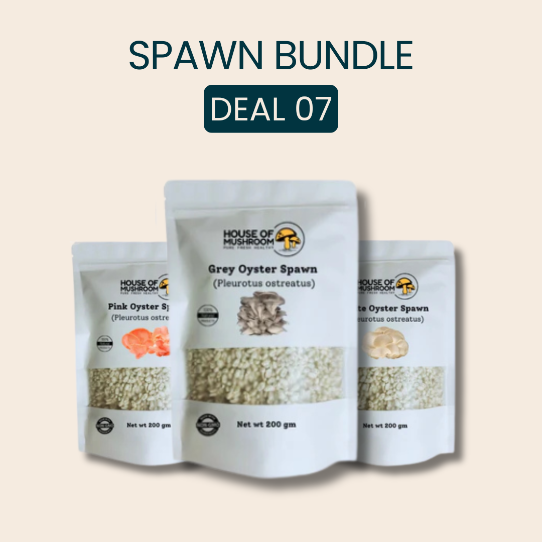 Mini Mushroom Spawn Bags Tropical Bungle 600gm