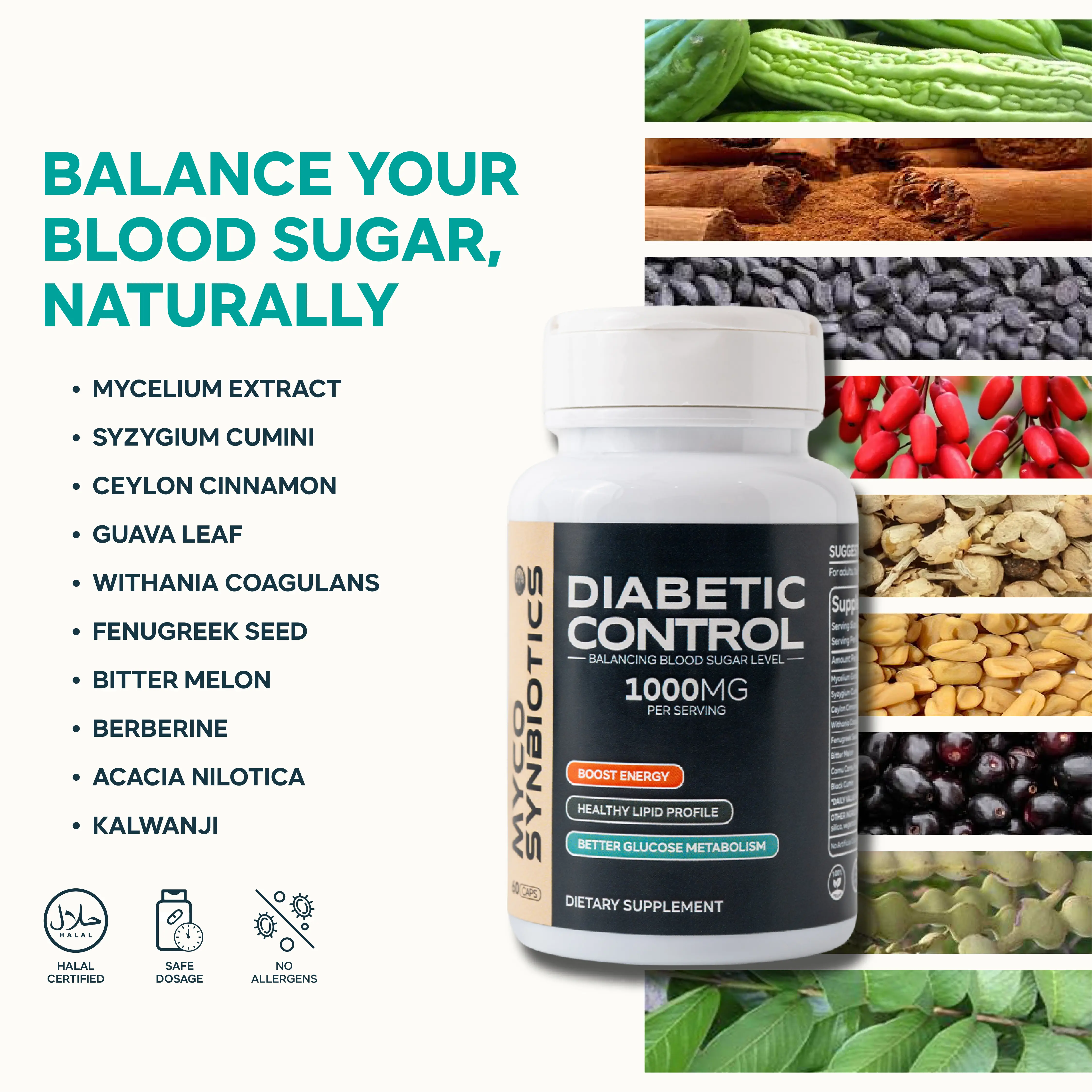 Diabetic Control Mushroom Supplement | Blood Sugar Balance & Energy Boost