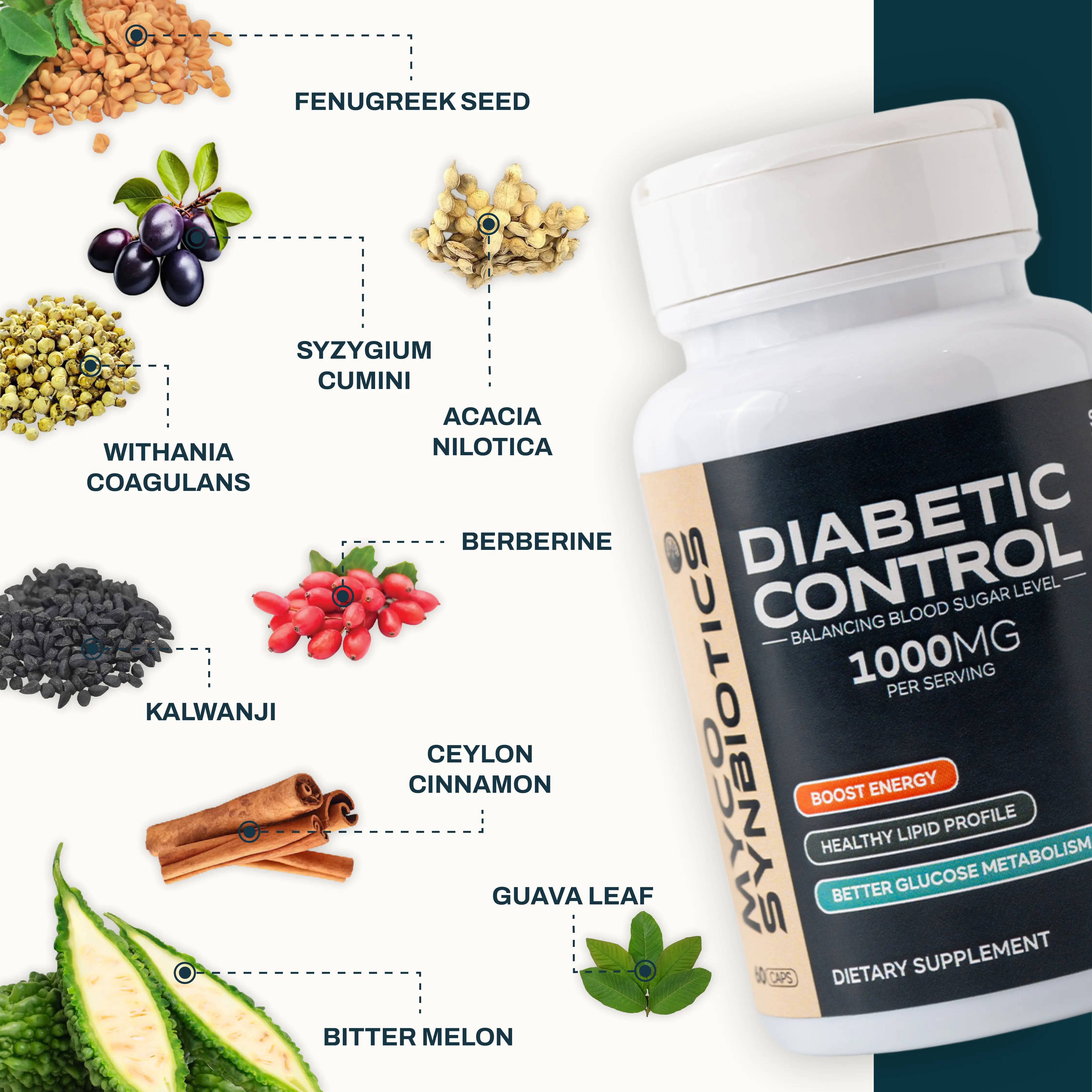 Diabetic Control Mushroom Supplement | Blood Sugar Balance & Energy Boost