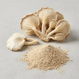 Oyster Mushroom Powder Bulk | Premium Pleurotus ostreatus Mushroom