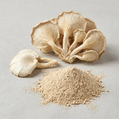 Oyster Mushroom Powder Bulk | Premium Pleurotus ostreatus Mushroom