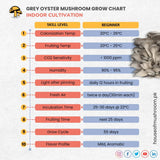 Grey Oyster Mushroom Grain Spawn 1.5kg (420)
