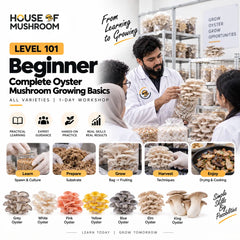 Level 101: Beginner – Complete Mushroom Growing Basics | 35+ Varieties | 1-Day Workshop