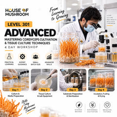 Level 301: Advanced – Mastering Cordyceps Cultivation & Tissue Culture Techniques | 4-Day