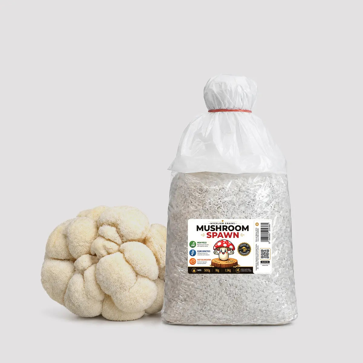 Lion's Mane Mushroom Grain Spawn 1.5kg (118)