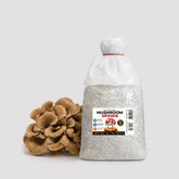 Maitake Mushroom Grain Spawn 1.5kg (170)