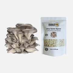 Mini Oyster Mushroom Spawn Bags – Tropical Bundle 600g | Easy Home Growing