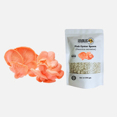 Mini Oyster Mushroom Spawn Bags – Tropical Bundle 600g | Easy Home Growing