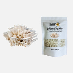 Mini Oyster Mushroom Spawn Bags – Tropical Bundle 600g | Easy Home Growing