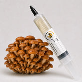 Nameko Mushroom Liquid Culture – 10cc Syringe | Pholiota Microspora Strain (650)