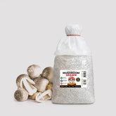 Paddy Straw Mushroom Grain Spawn 1.5kg (472)
