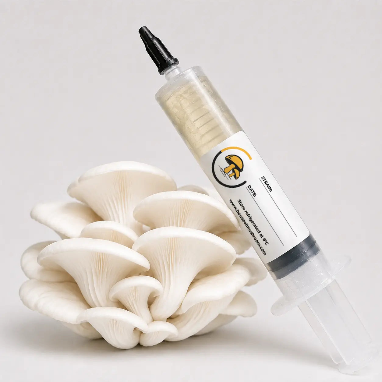 Pearl Oyster Mushroom Liquid Culture – 10cc Syringe | Pleurotus ostreatus Strain (412)