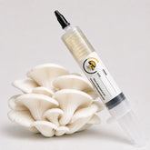 Pearl Oyster Mushroom Liquid Culture – 10cc Syringe | Pleurotus ostreatus Strain (412)