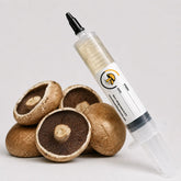Portobello Mushroom Liquid Culture – 10cc Syringe | Agaricus bisporus Holland Strain (511)