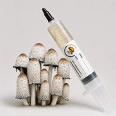 Shaggy Inky Cap Mushroom Liquid Culture – 10cc Syringe | Coprinus Comatus Strain (470)