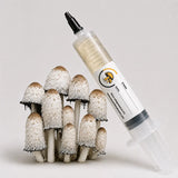 Shaggy Inky Cap Mushroom Liquid Culture – 10cc Syringe | Coprinus Comatus Strain (470)
