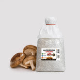 Shiitake Edodes Mushroom Grain Spawn 1.5kg (954)