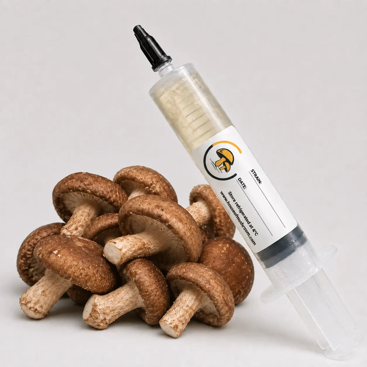 Shiitake Mushroom WR Liquid Culture – 10cc Syringe | Lentinula Edodes Strain (950)