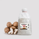 Shiitake Verstile Mushroom Grain Spawn 1.5kg (951)