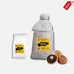 Gaint Portobella Mushroom Grain Spawn 1.5kg (511)