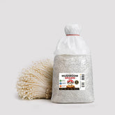 White Enoki Mushroom Grain Spawn 1.5kg (915)
