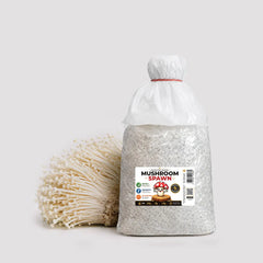 White Enoki Mushroom Grain Spawn 1.5kg (915)
