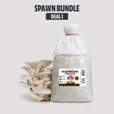 Bulk White Oyster Mushroom Spawn