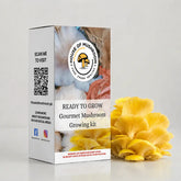 Ready-to-Fruit Mushroom Grow Bag Golden Oyster